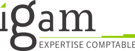 Logo Igam